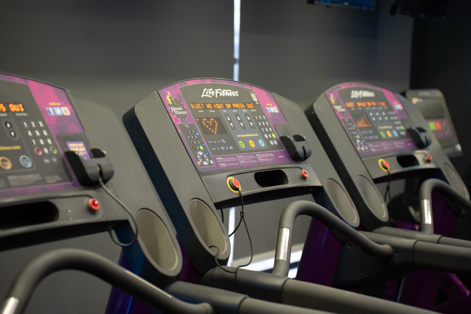 A1 Gym & Fitness Club — Cardio 5
