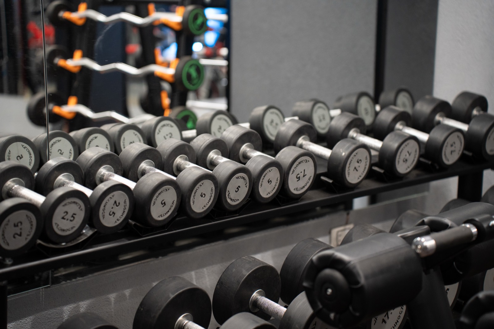 A1 Gym & Fitness Club — Free Weights 2