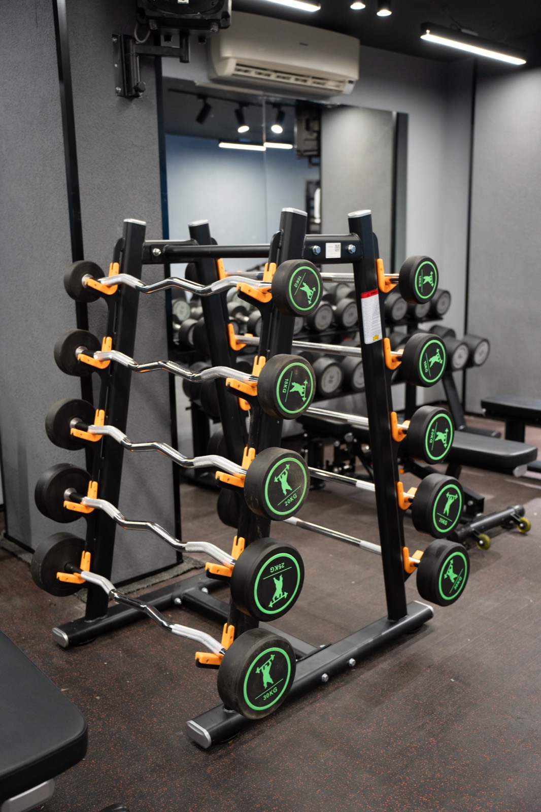 A1 Gym & Fitness Club — Free Weights 5