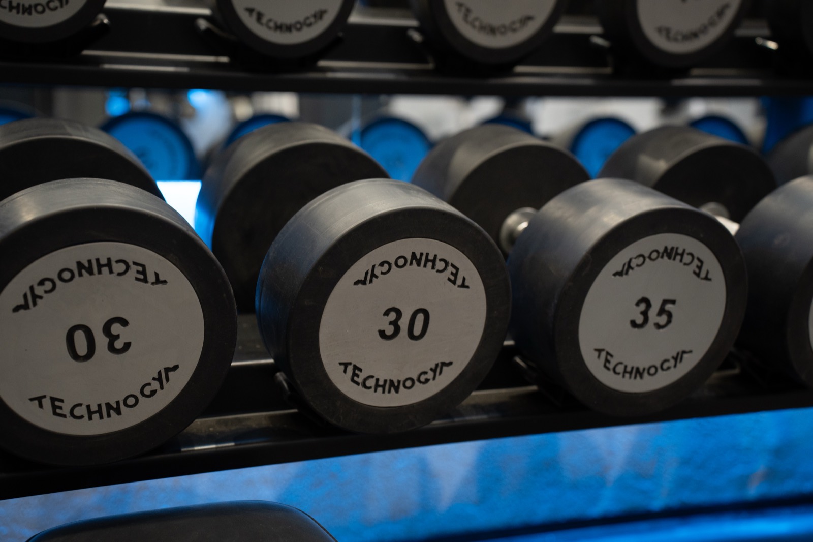 A1 Gym & Fitness Club — Free Weights 6