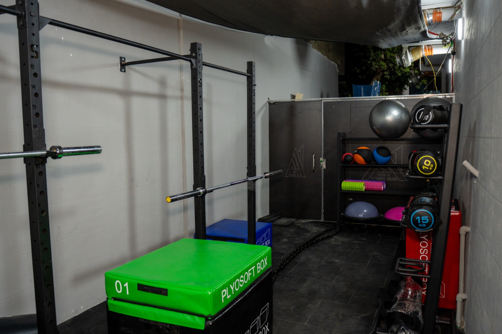 A1 Gym & Fitness Club — Free Weights 9