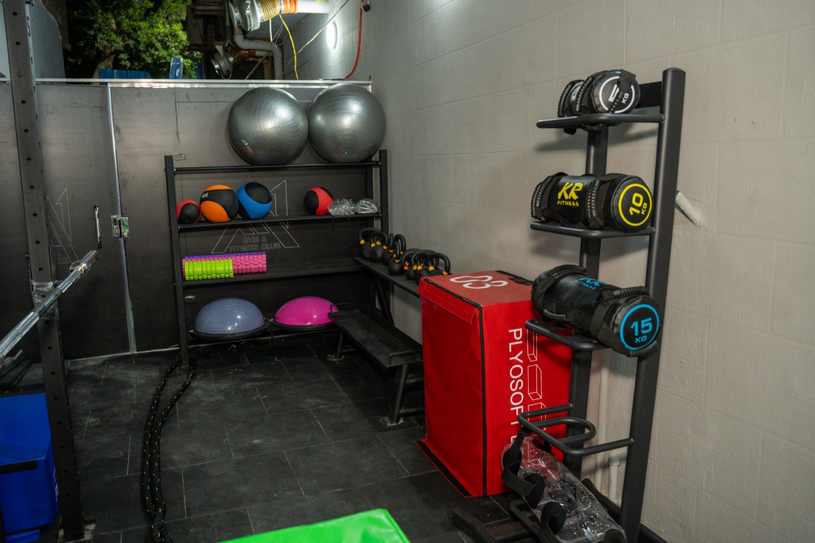 A1 Gym & Fitness Club — Free Weights 10
