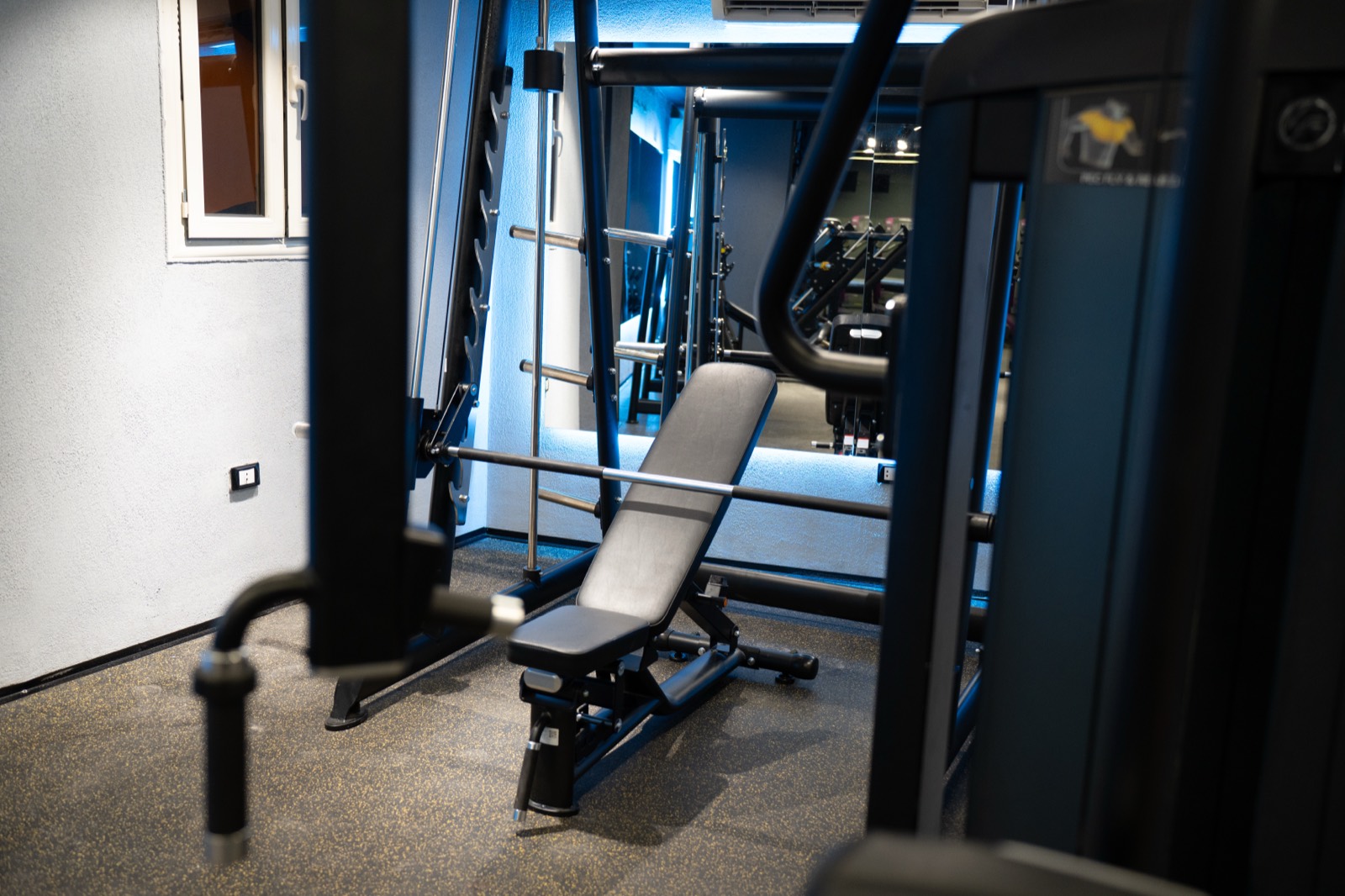 A1 Gym & Fitness Club — Strength Equipment 11