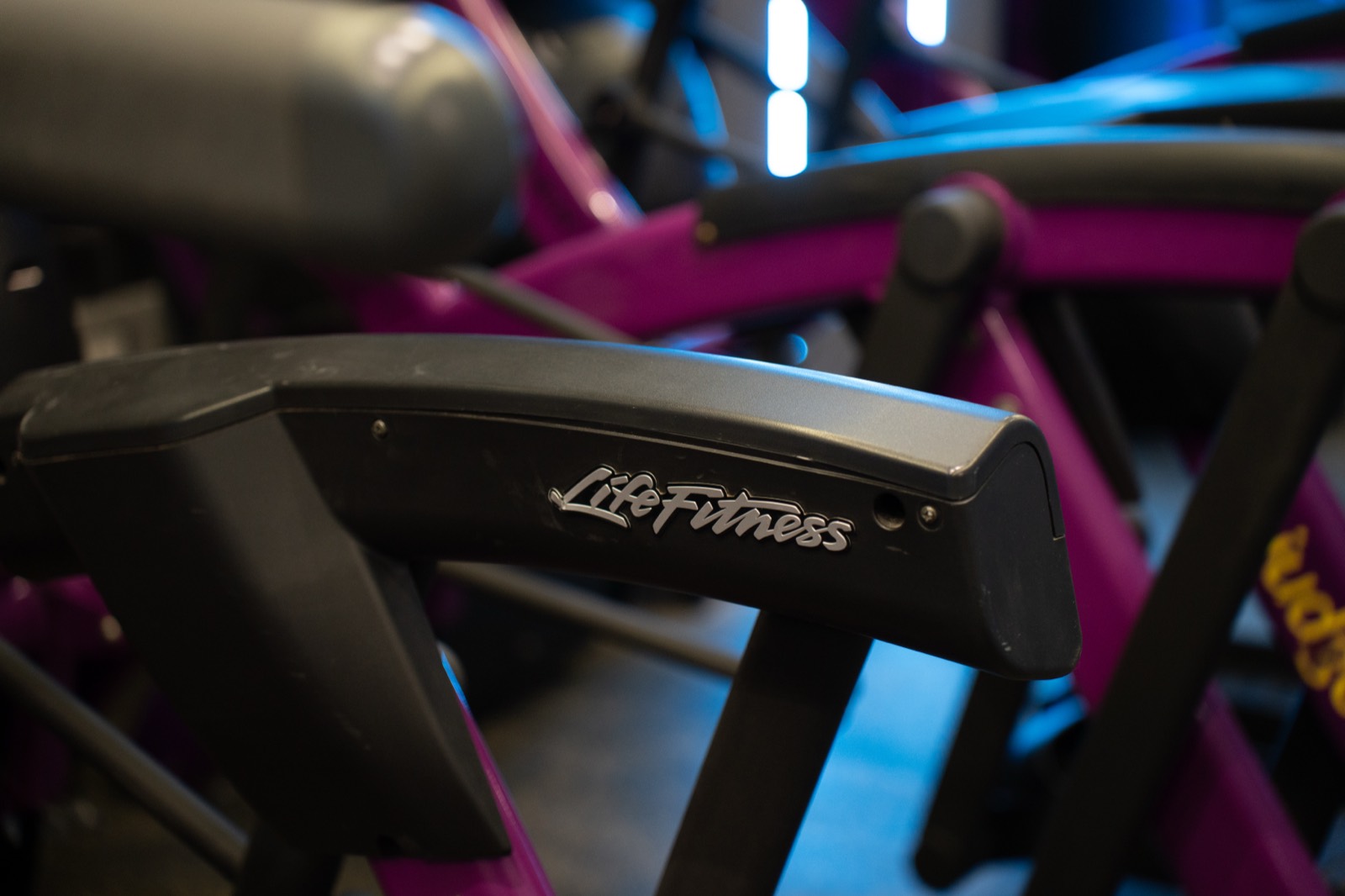 A1 Gym & Fitness Club — Strength Equipment 16