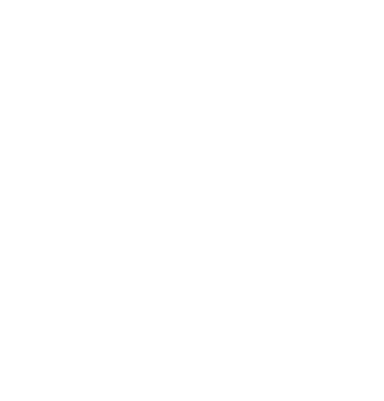 A1 Gym and Fitness Club logo