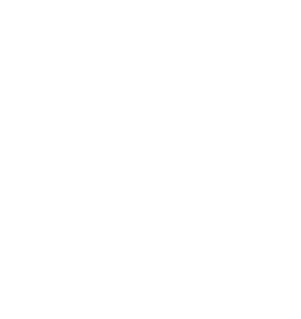 A1 Gym and Fitness Club logo